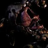 creator Springtrap!'s avatar