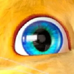 creator talking llinller's avatar