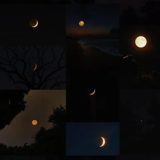 creator Moon_night_🌌's avatar