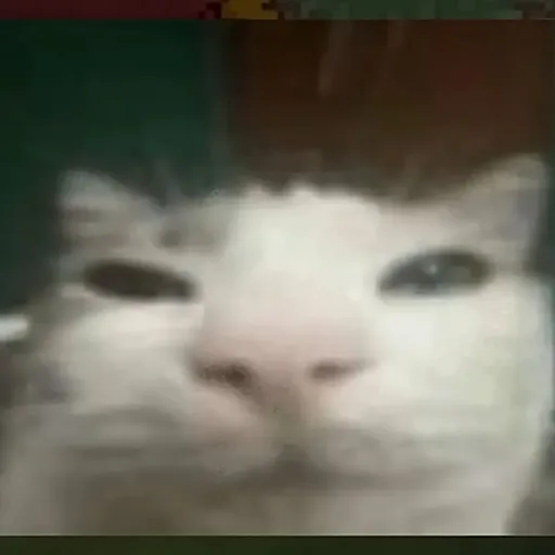 creator RexciYT's avatar