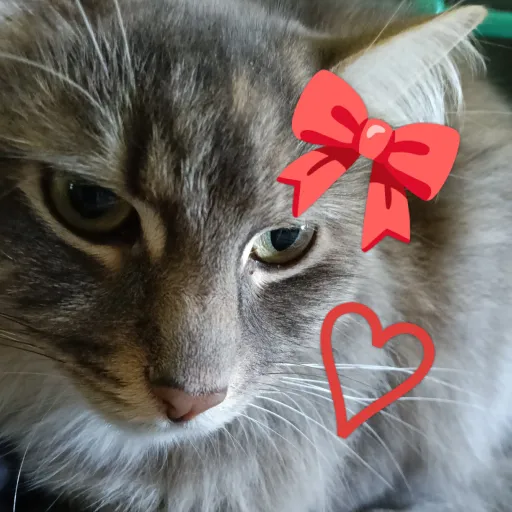 creator 🎀MILLIE MY CAT🎀's avatar