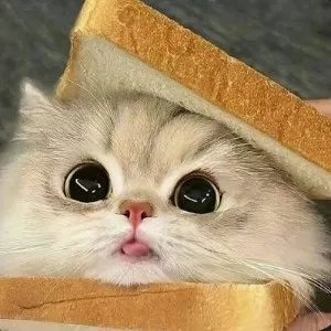 creator ⊹୨୧ ᴍᴀʀɪᴀ ୨୧⊹✿☺︎☆'s avatar