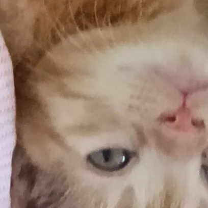 creator ⊹୨୧ ᴍᴀʀɪᴀ ୨୧⊹✿☺︎☆'s avatar