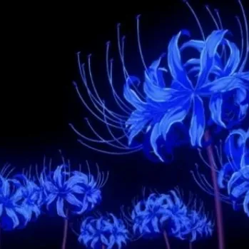 creator ୨୧•◡•'s avatar