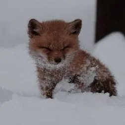 creator ⑅♡'s avatar