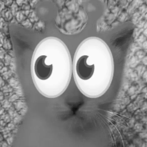 creator ~ツ• 𝔾𝕝𝕠𝕣𝕡 •ツ~'s avatar