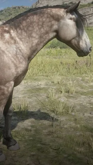 ai character: Norfolk Roadster background