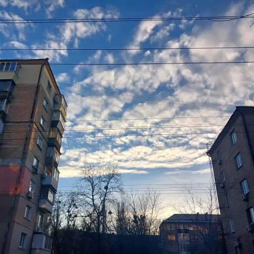 creator Gan 13's Fan's avatar