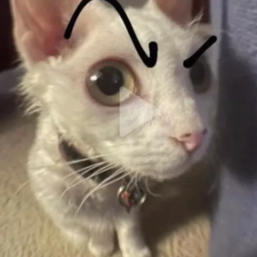 creator WHAT_THE_HEEEEELLL's avatar
