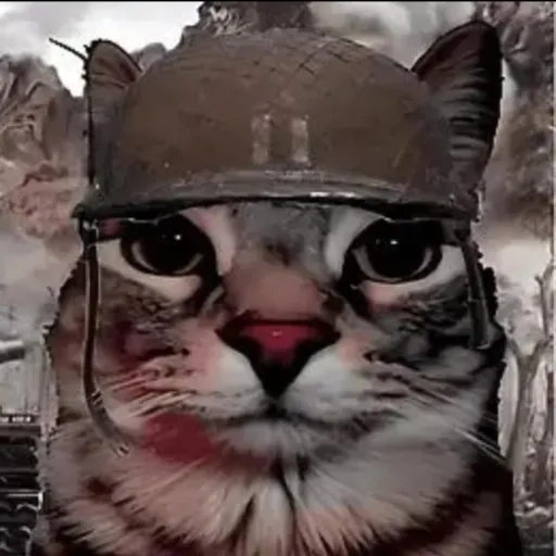 creator gato-gerra's avatar