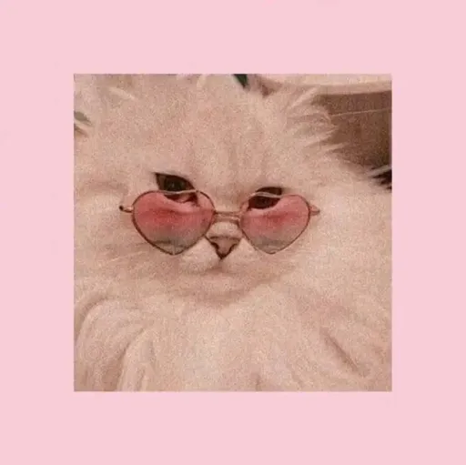 creator sahihuasa's avatar