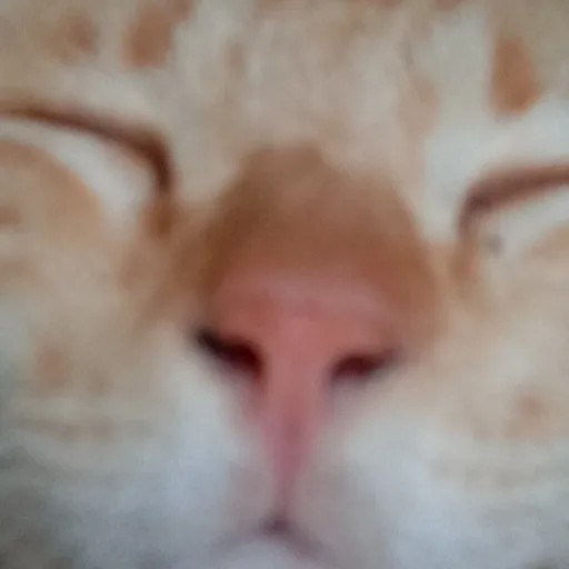 creator Man Kalut323's avatar