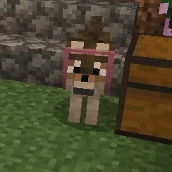 creator SCP-489's avatar