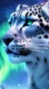 ai character: {North} background