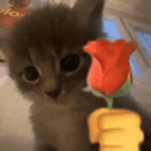 creator cat.with.rose's avatar