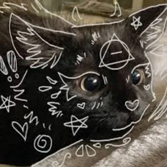 creator therian cat🐾's avatar