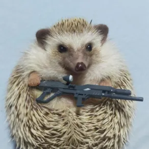 creator HedgehogKing🦔👑's avatar
