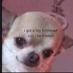 comment user avatar