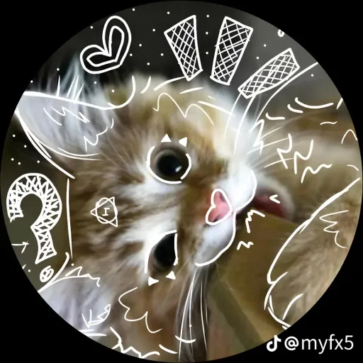 creator Niko Choque's avatar