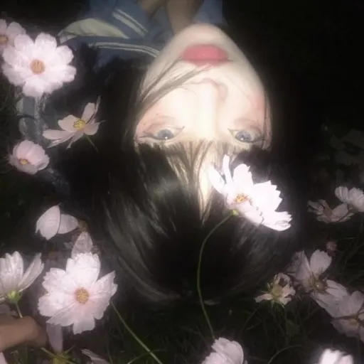 creator ﹺi’m going to die's avatar