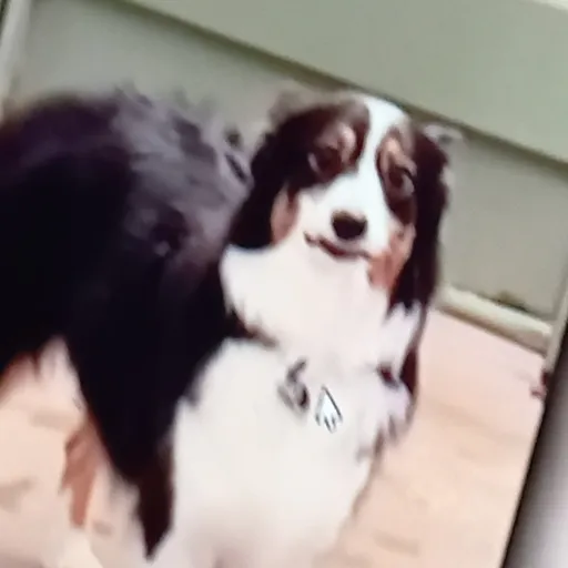 creator Emmadoggo's avatar