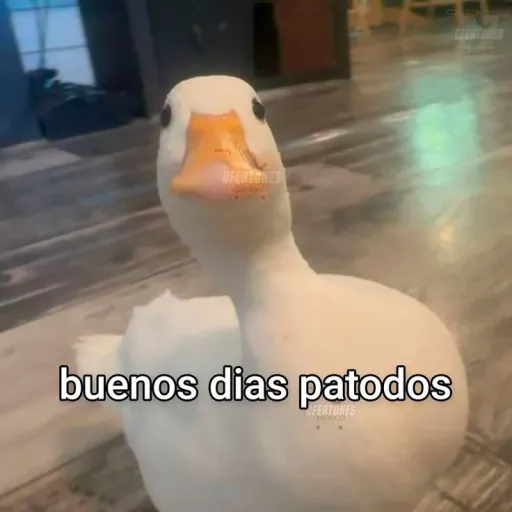 creator BuenoDia's avatar