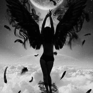 creator 🍷🌹Crescent moon🌹🍷's avatar