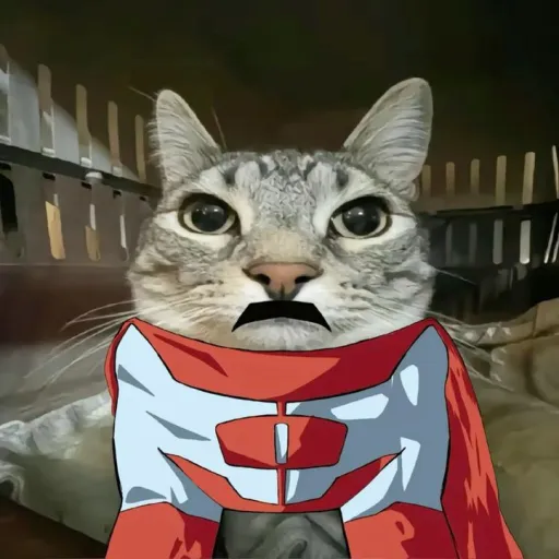 creator OMNI-CAT's avatar