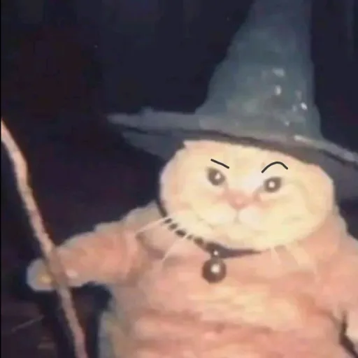 creator gato mágico meme's avatar
