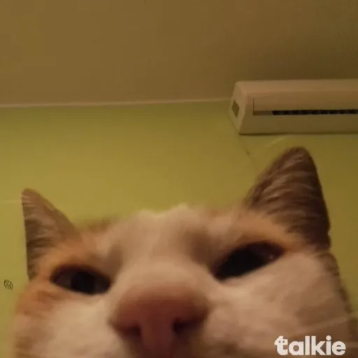 creator ༺𝄞ᏞϴᏙᎬᏞႮՏͲ 【⍢⃝ 】's avatar