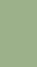 ai character: Sage Green background