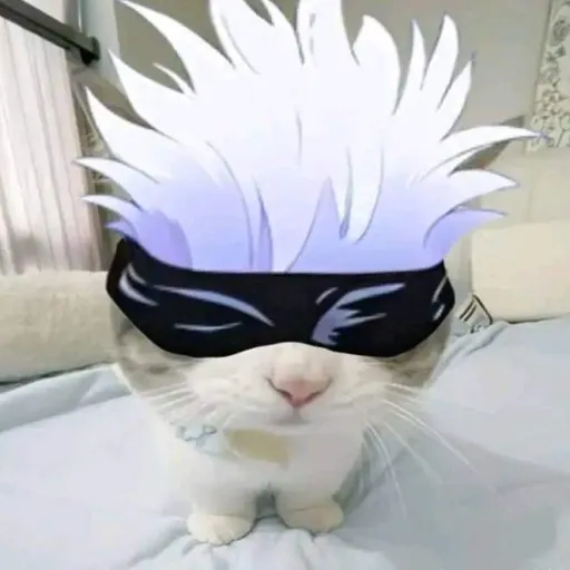 creator Gojo's cat's avatar