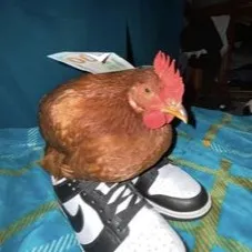 creator бебр's avatar