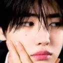 chat with ai character: Wonyoung sunghoon