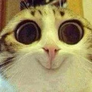 creator Une PaTaTe's avatar