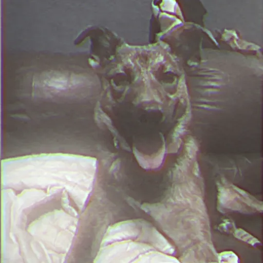 creator Error code dog's avatar