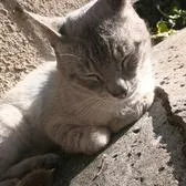 creator Talkior-cEBZGHko's avatar