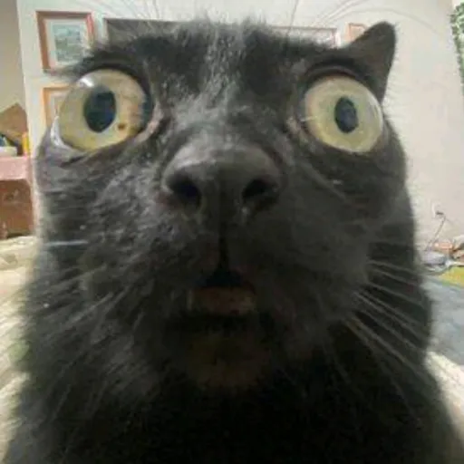 creator I_eat_door's avatar