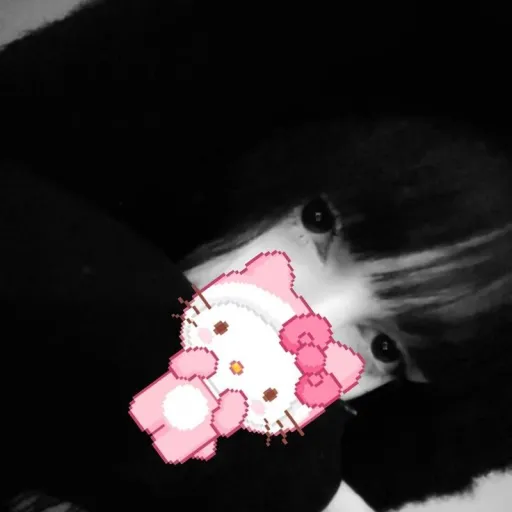 creator こんにちは ୨୧♡🐇's avatar