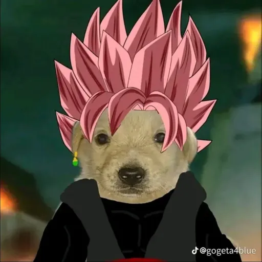 creator Yuuji_Itadori.16's avatar