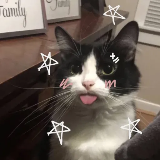 creator bennyti's avatar
