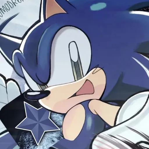 creator 🌟sonic bien wacho🌟's avatar