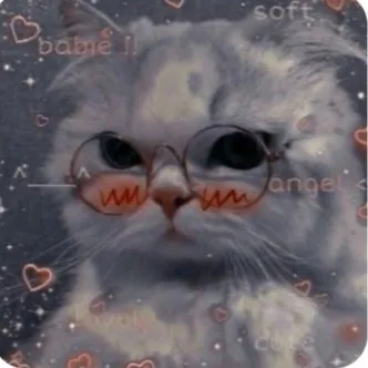 creator Злата♡'s avatar
