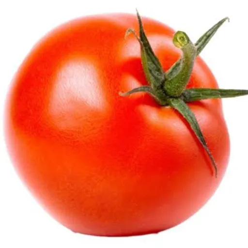 creator Tomate🍅2.0's avatar