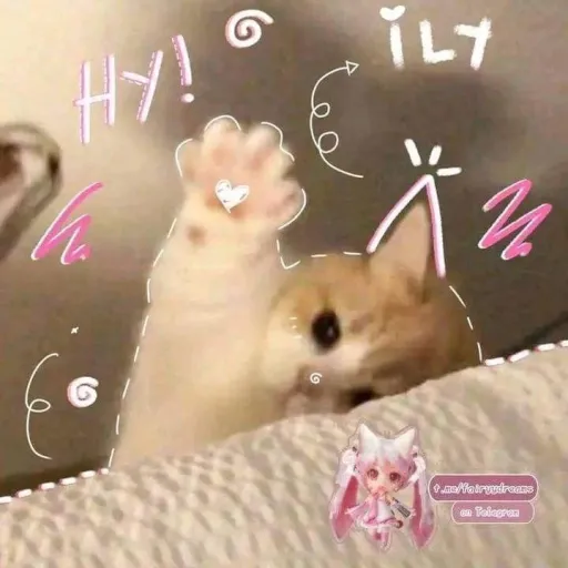 creator (~*D34TH`~)'s avatar