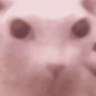 creator @stupid bingus's avatar