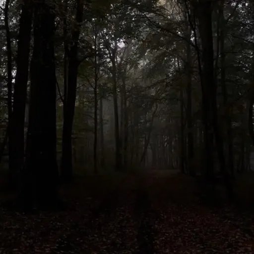 creator Mary darling's avatar