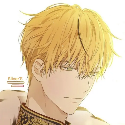 creator 𑣲 SliverS / Sature's avatar