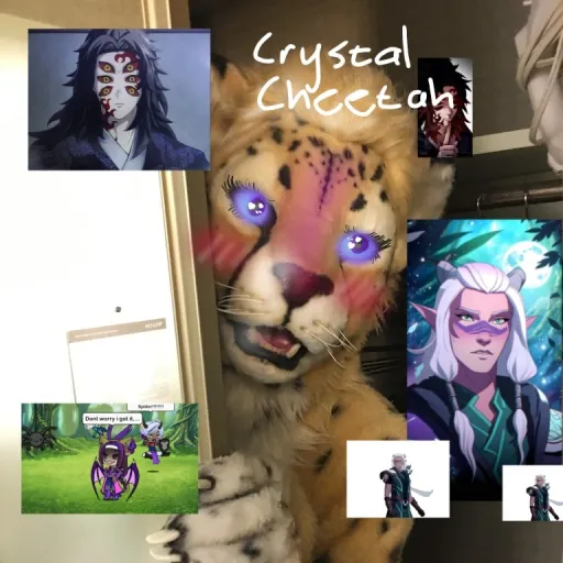 creator Crystal Cheetah's avatar
