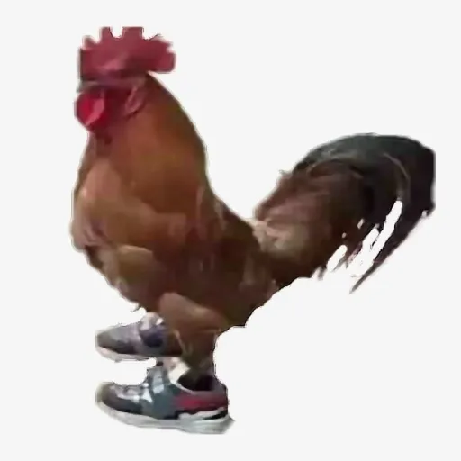 creator violatractomulas99's avatar